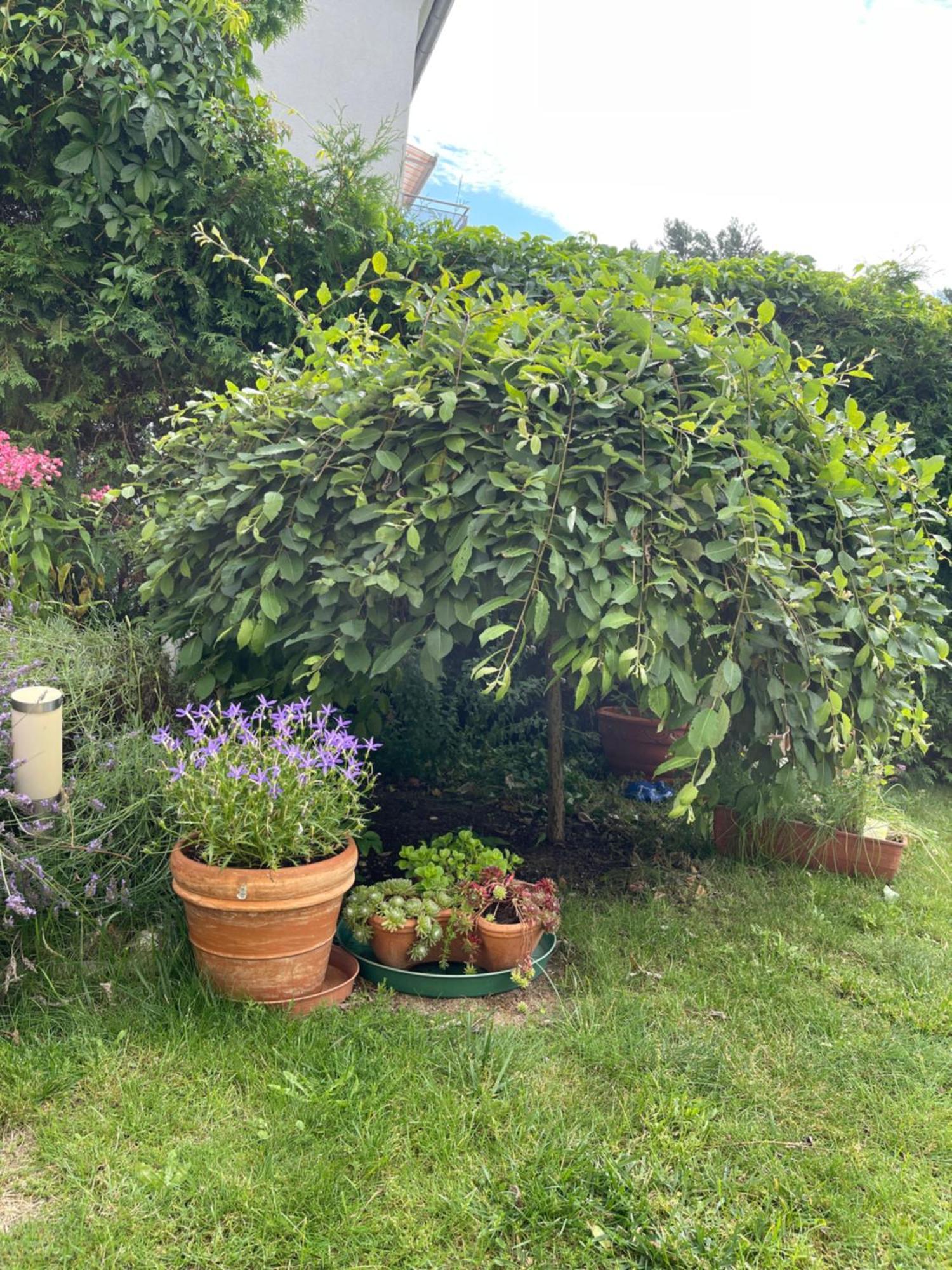 Gästezimmer mit Garten / 20 Minuten bis Messe Nürnberg Exterior foto